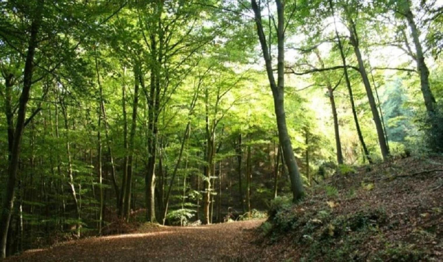 Haus Natura Jurdani 外观 照片